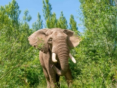 Review of Noah's Ark Zoo Farm 