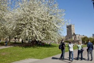 Castle Park