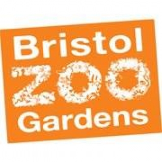 Bristol Zoo Gardens