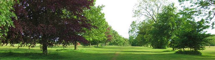 Durdham Down - The Downs in Bristol Durdham Down - The Downs in Bristol